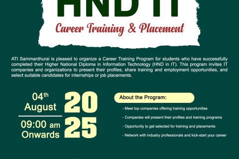 Career